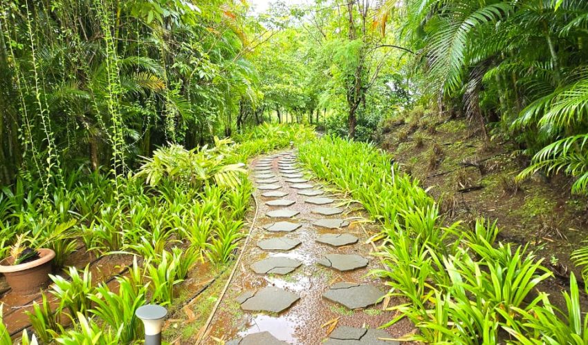 Experiences- Outdoor & nature