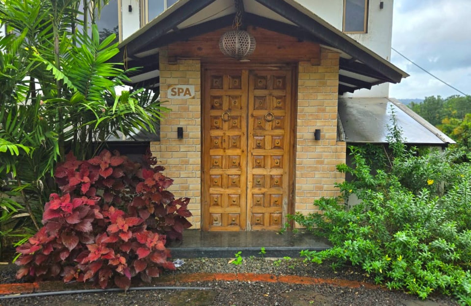 Wellness - Under spa and therapies